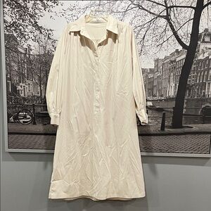 Frankie shop shirt dress